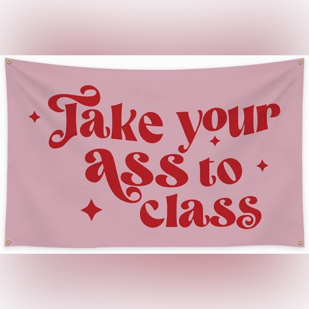 🌙 B13 -Take your a$$ to class - Wall Tapestry